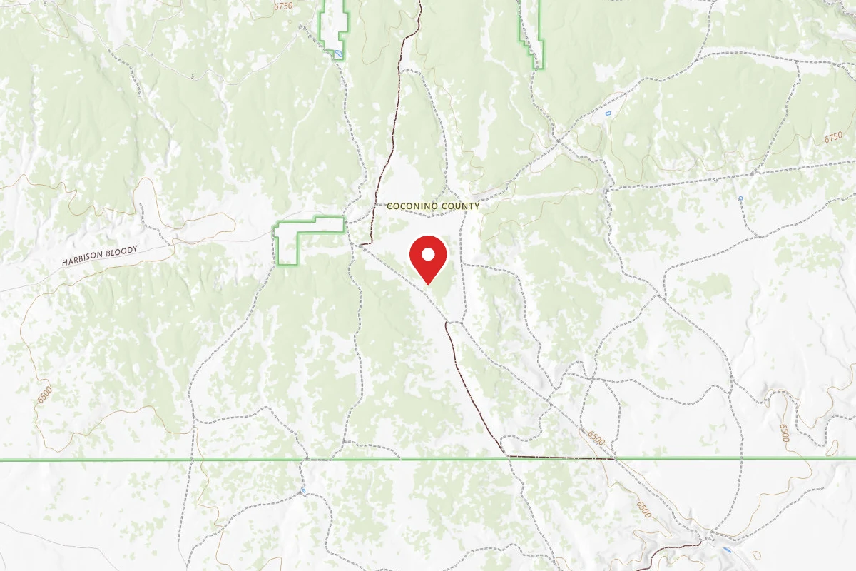 Dispersed Site near 35.7791, -111.8620