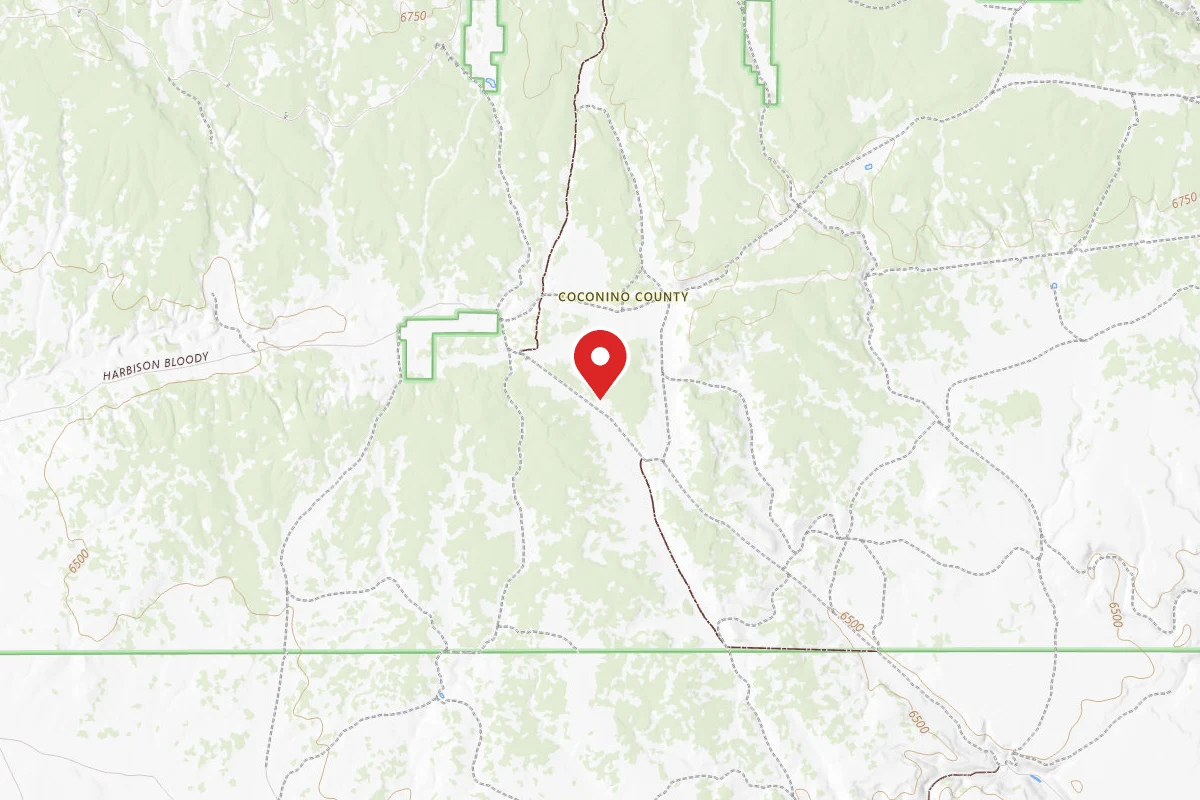 Dispersed Site near 35.7803, -111.8649