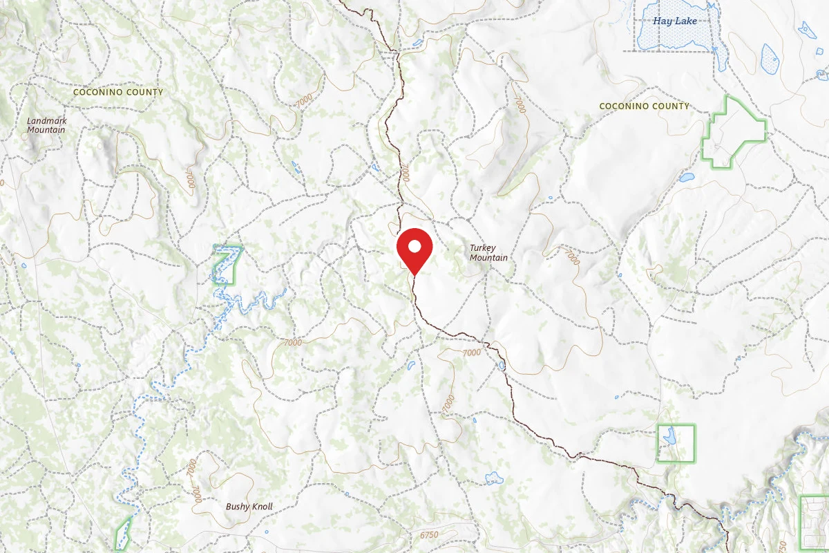 Dispersed Site near 34.6923, -111.2875