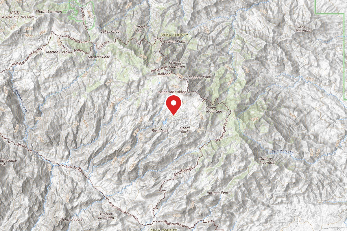 Dispersed Site near 32.3907, -110.7060