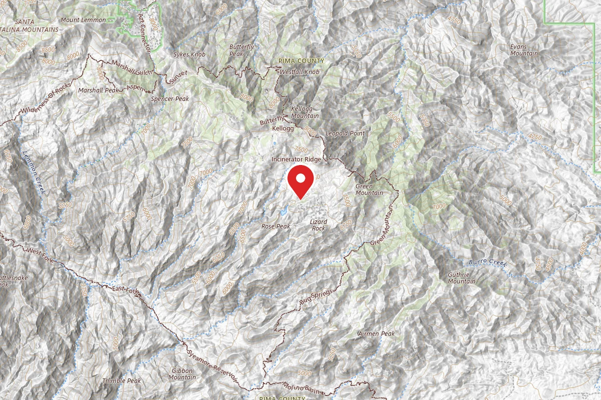 Dispersed Site near 32.3907, -110.7054