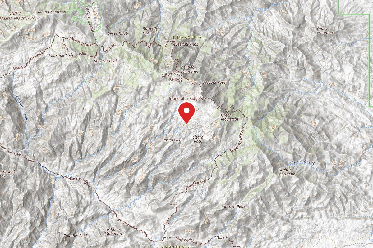 Dispersed Site near 32.3906, -110.7056