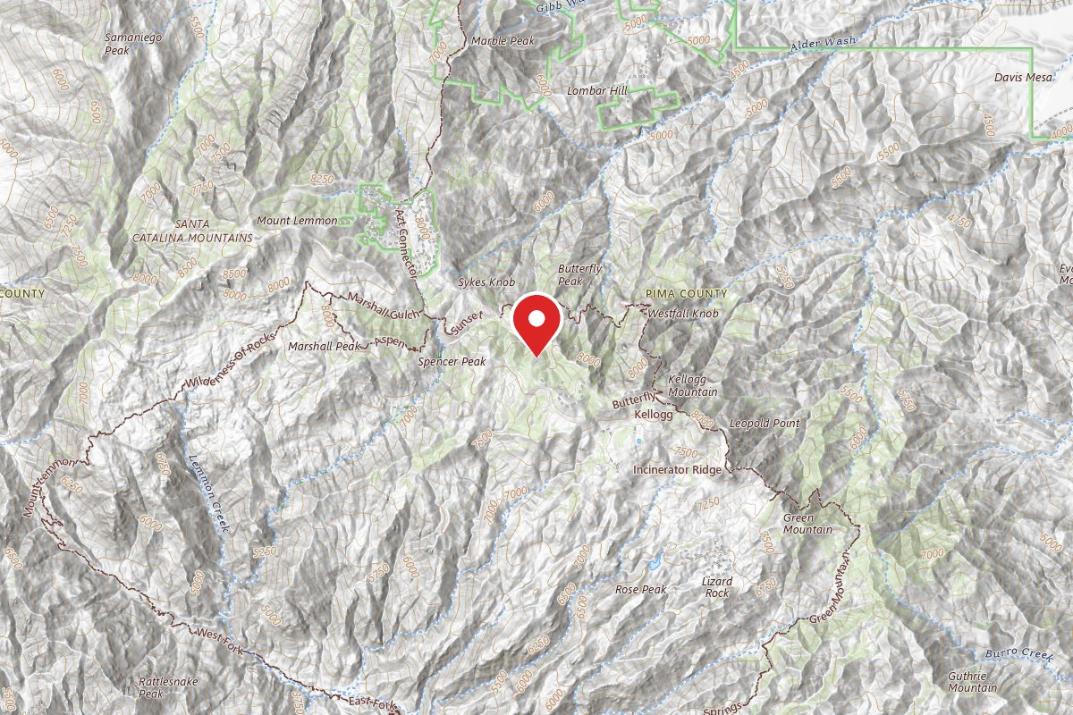 Dispersed Site near 32.4207, -110.7339