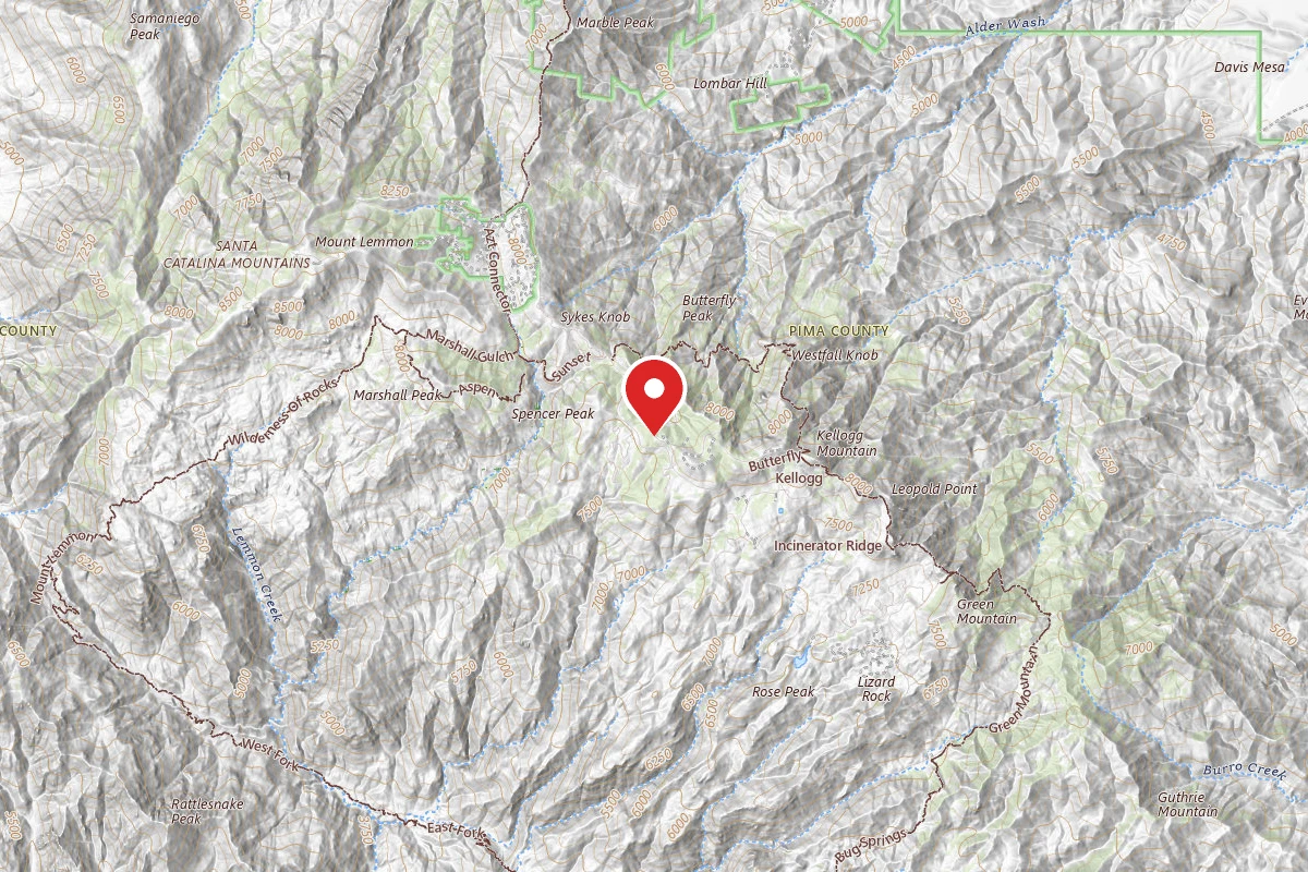 Dispersed Site near 32.4171, -110.7344