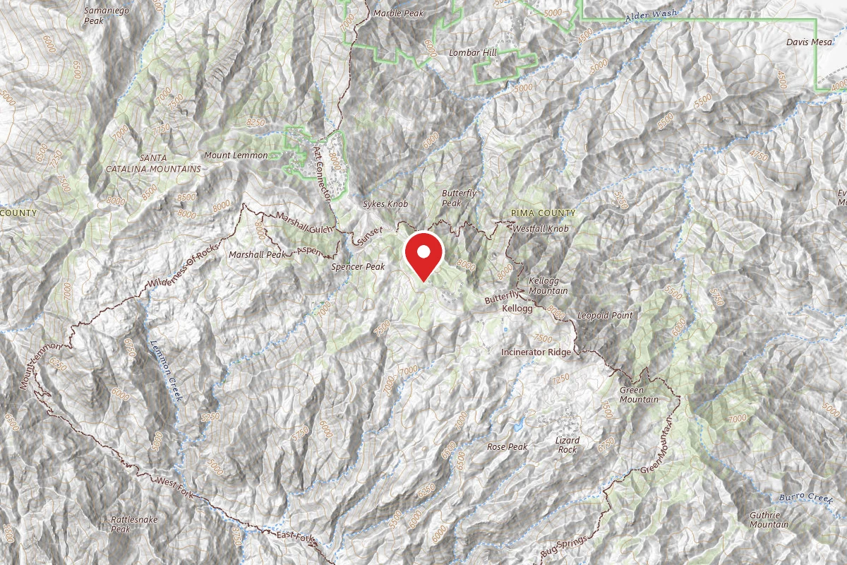 Dispersed Site near 32.4168, -110.7342