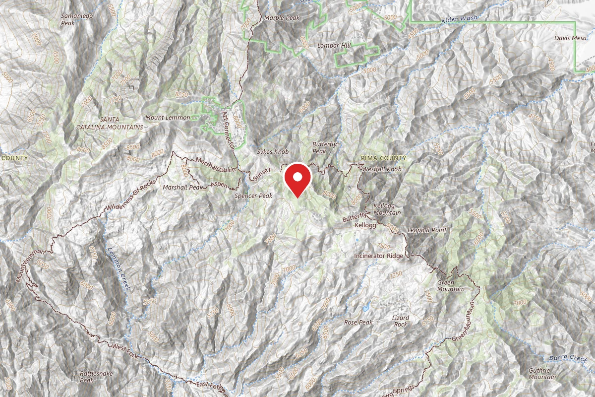 Dispersed Site near 32.4193, -110.7350