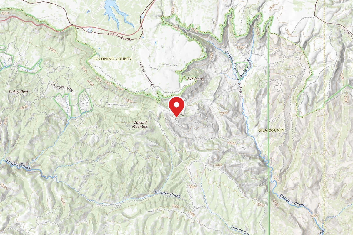Dispersed Site near 34.2585, -110.8370