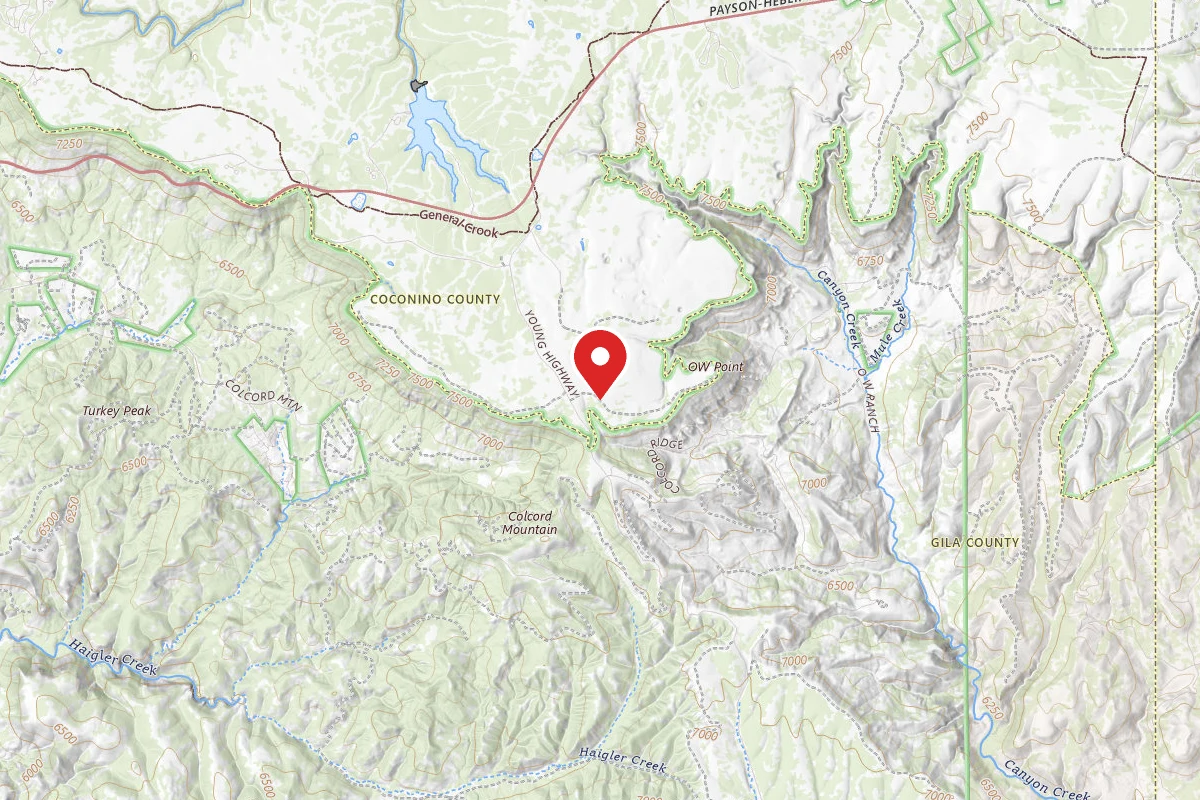 Dispersed Site near 34.2725, -110.8461