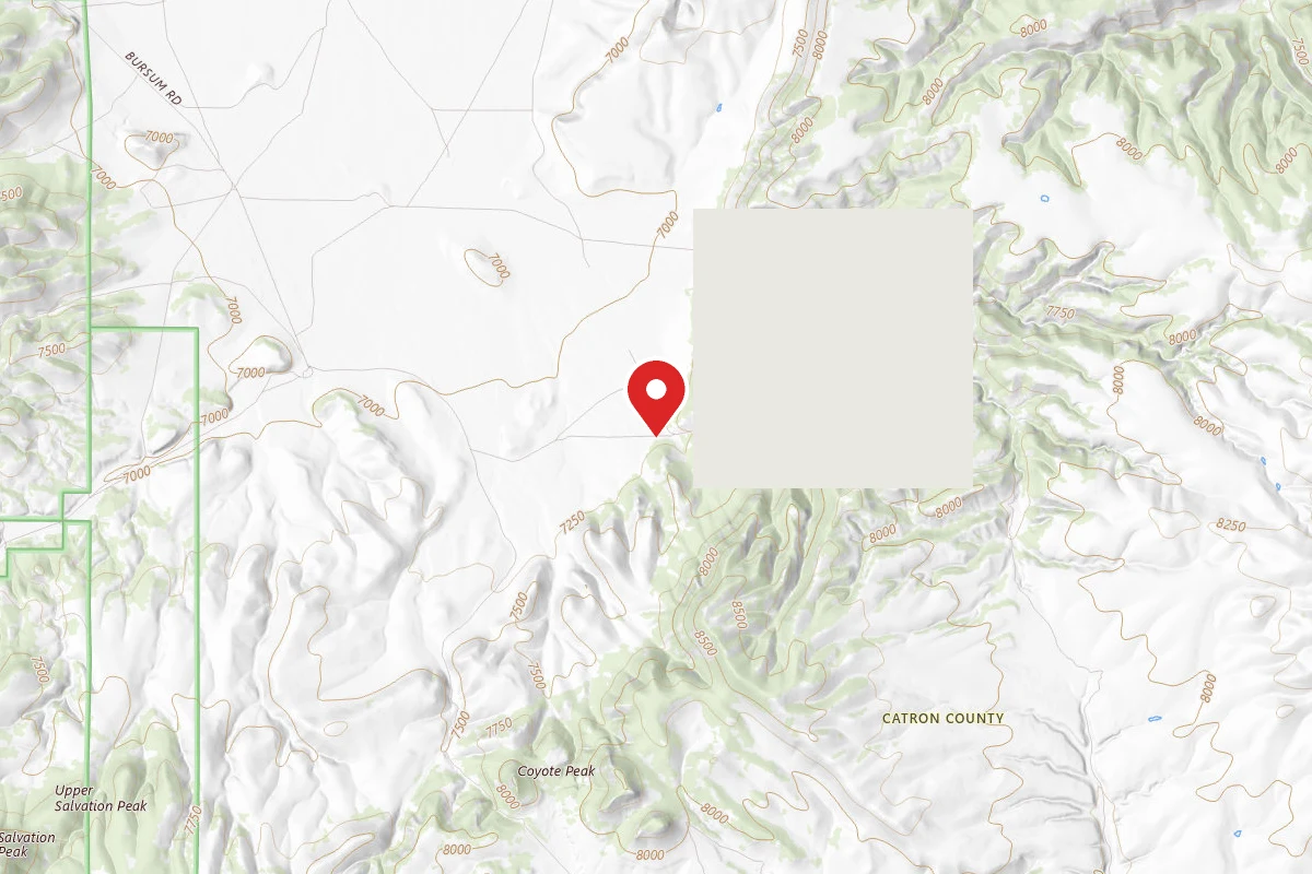 Dispersed Site near 33.6945, -108.2431