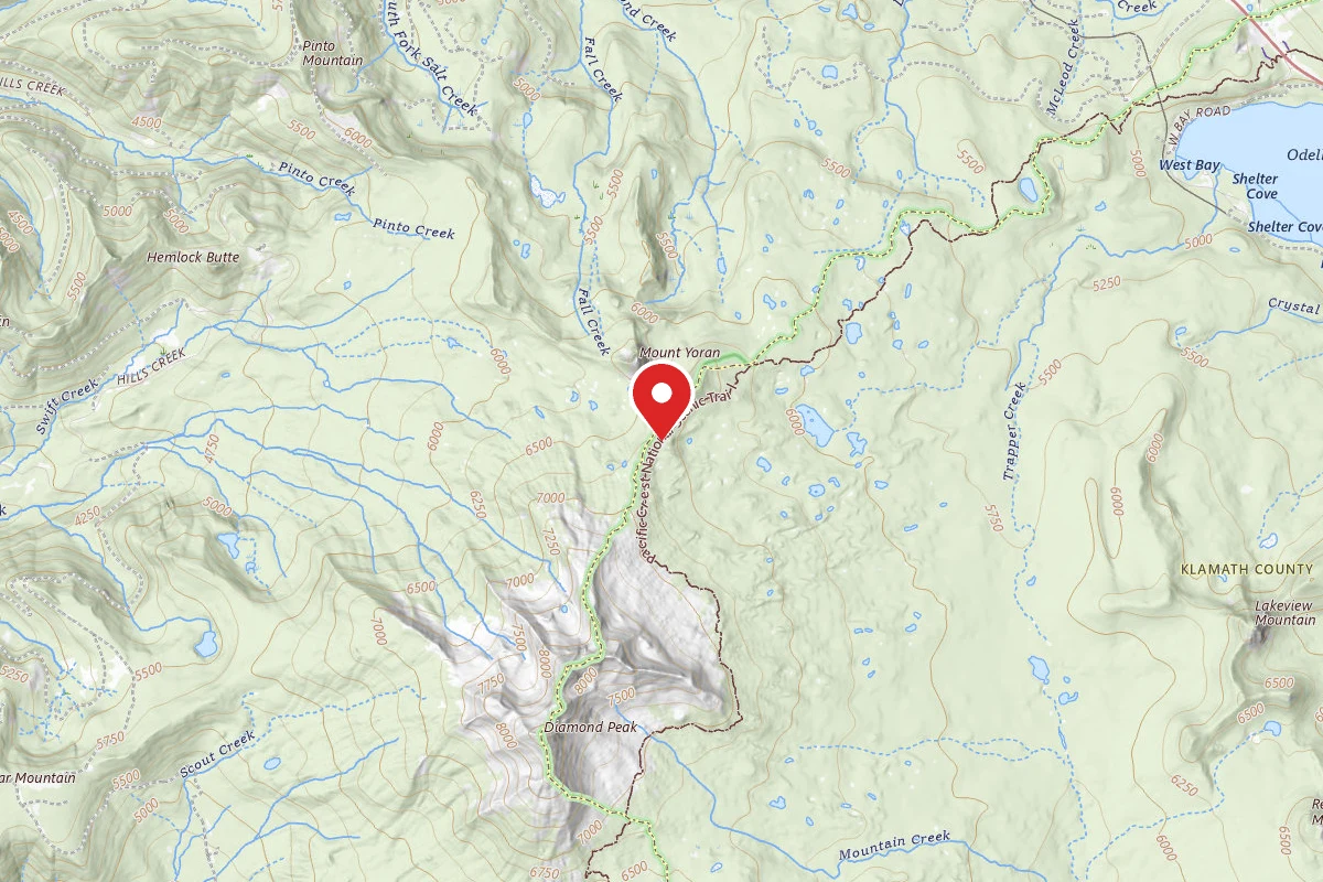 Dispersed Site near 43.5538, -122.1306
