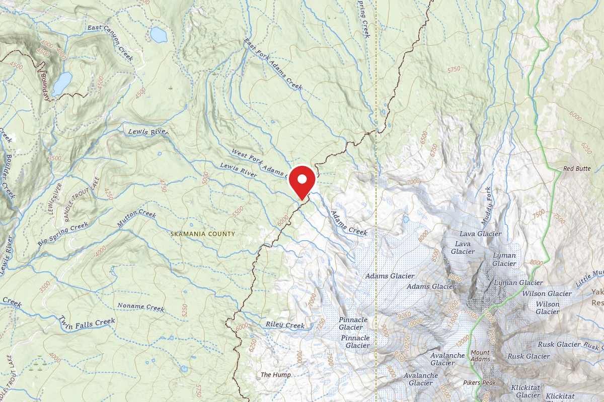 Dispersed Site near 46.2390, -121.5475