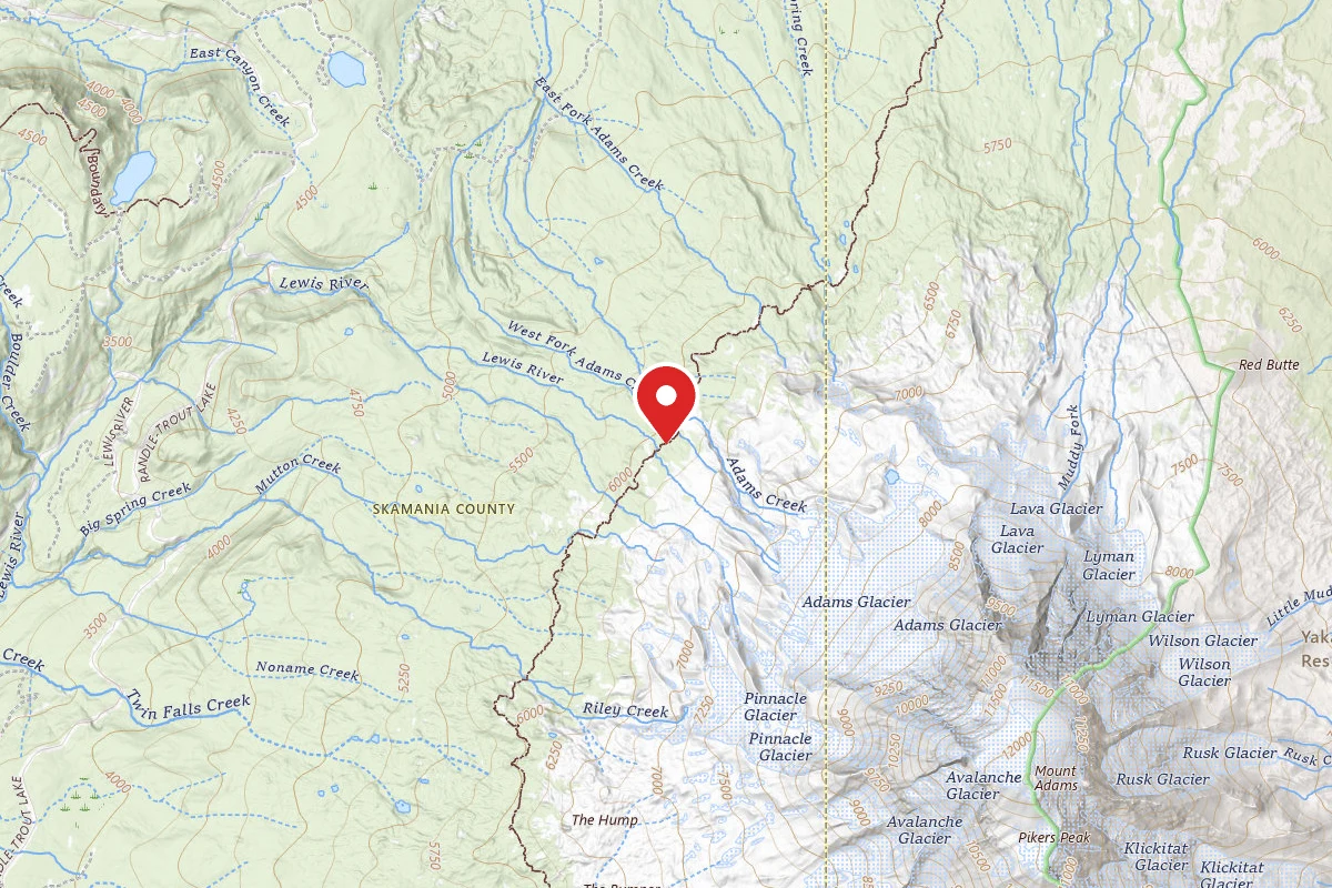 Dispersed Site near 46.2382, -121.5471