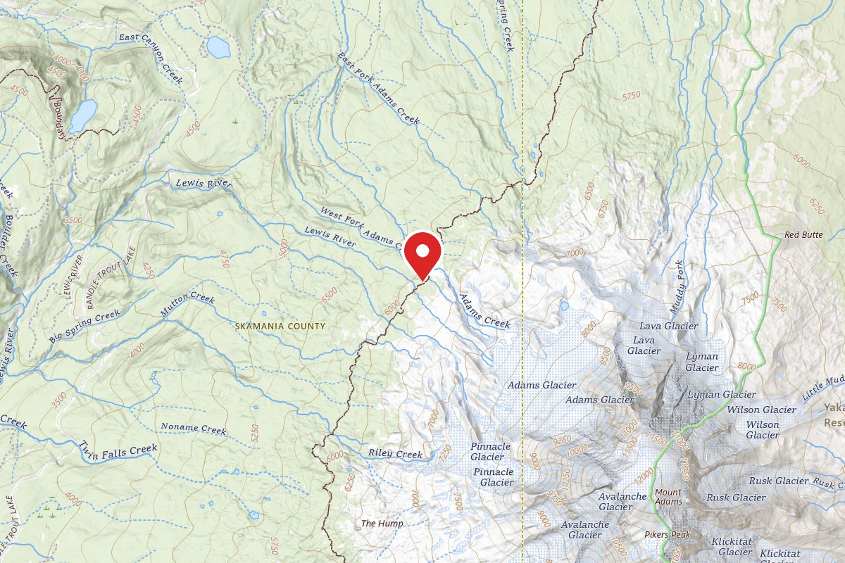 Dispersed Site near 46.2388, -121.5467