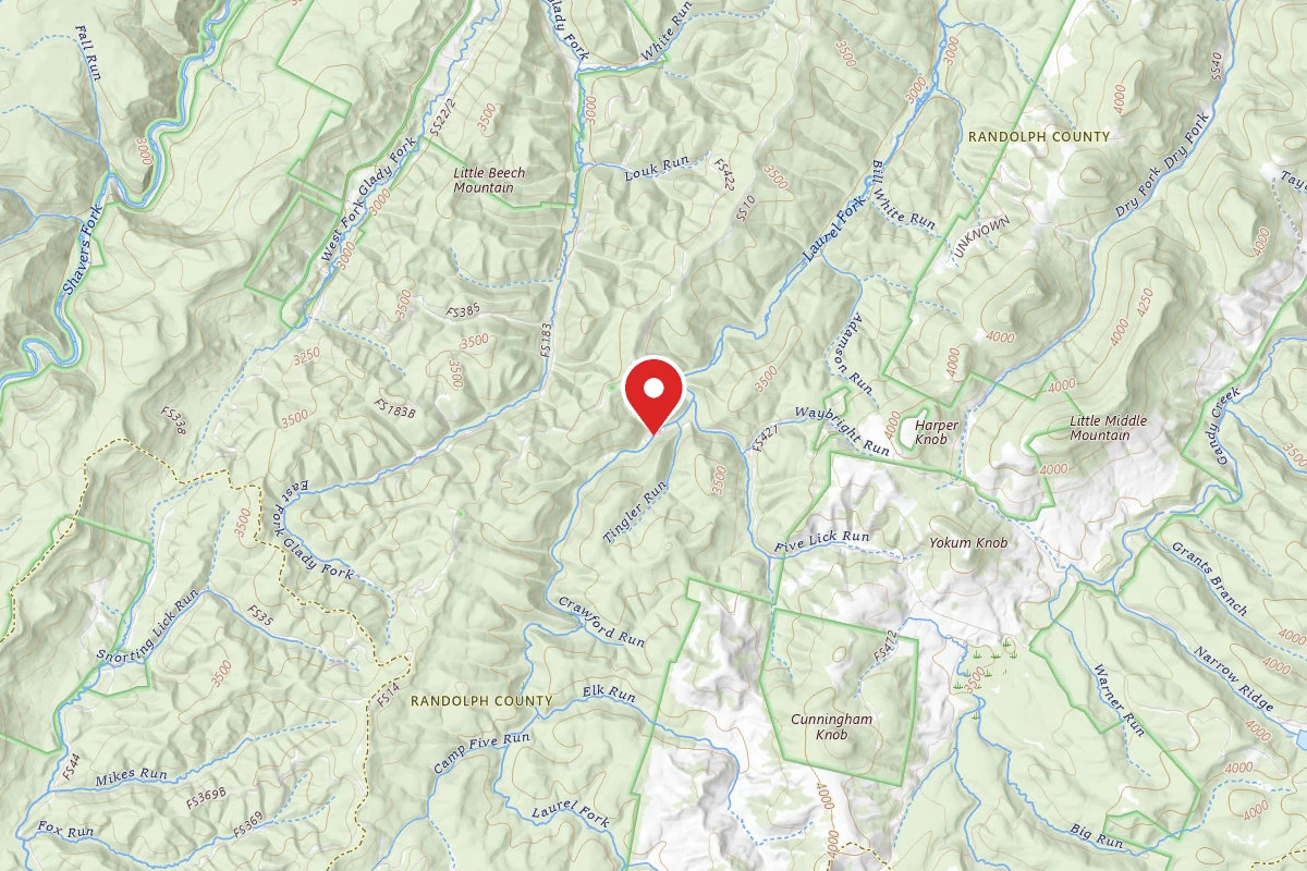 Laurel Fork Campground