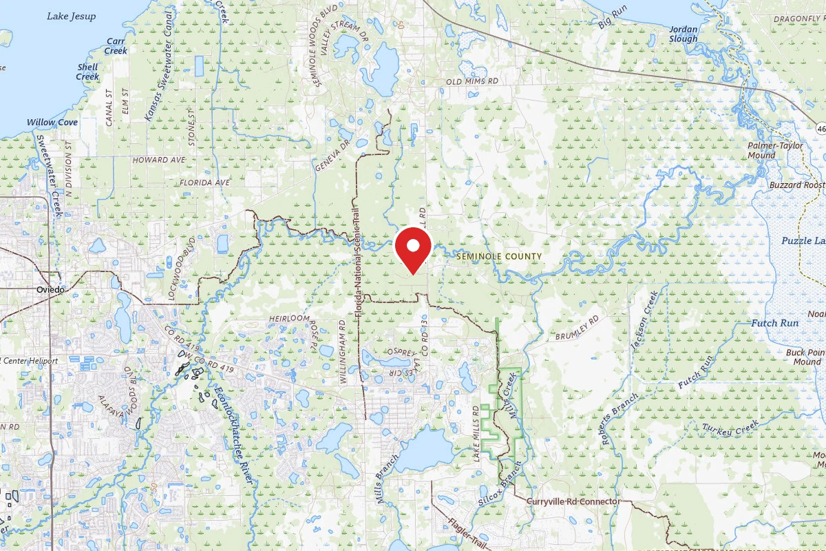 Little Big Econ State Forest Primitive Camping - East Camp Zone