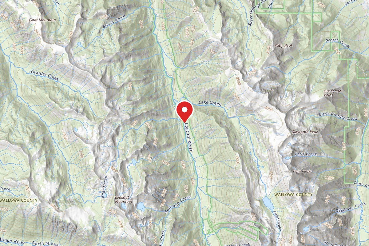 Dispersed Site near 45.3238, -117.4042