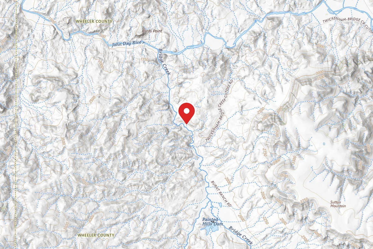 Dispersed Site near 44.7075, -120.2917
