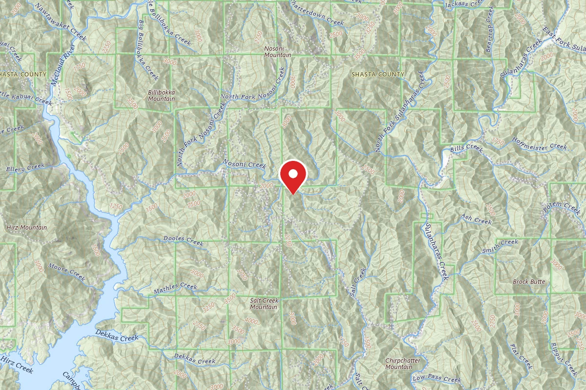 Shasta Lake Area