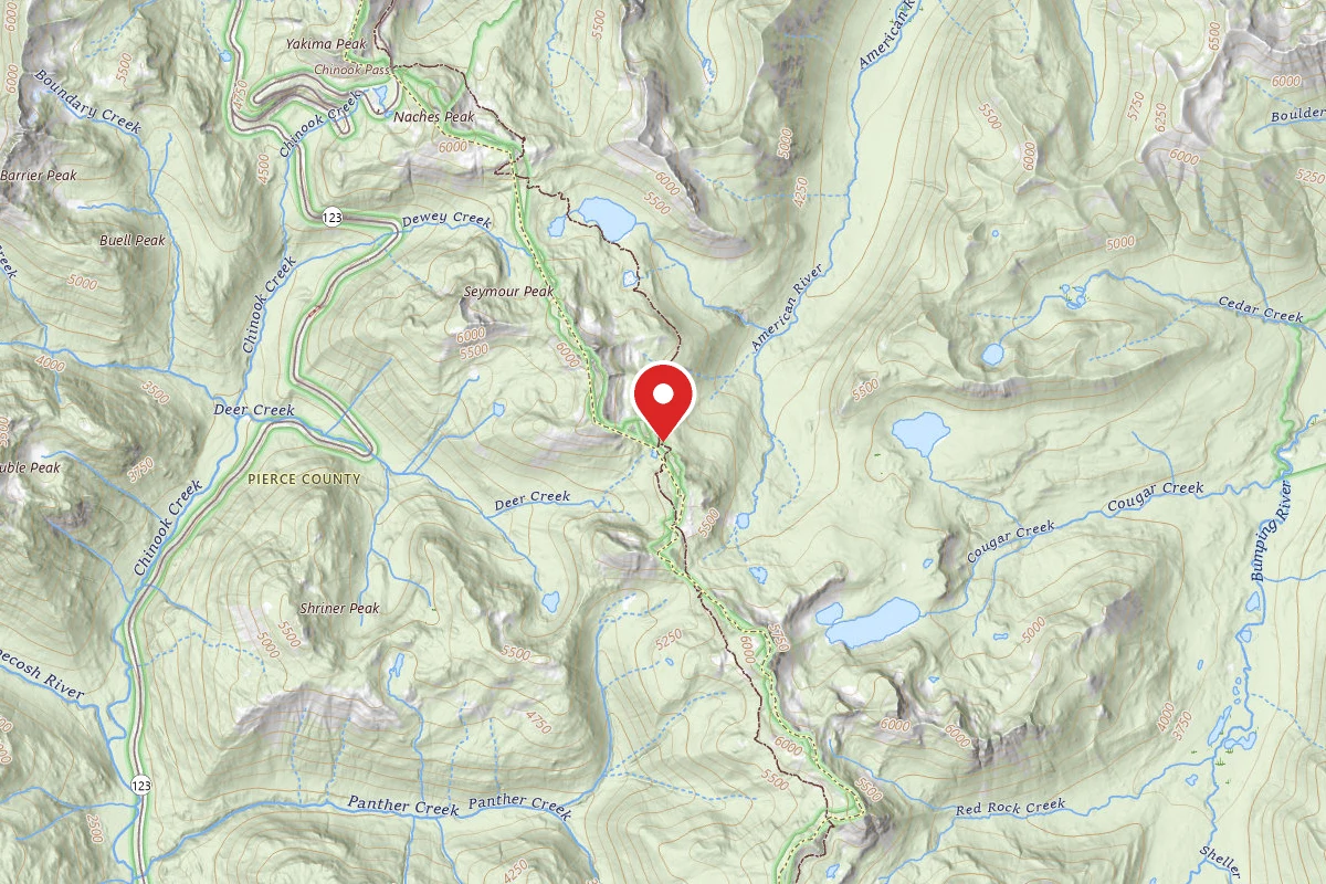 Dispersed Site near 46.8322, -121.4735