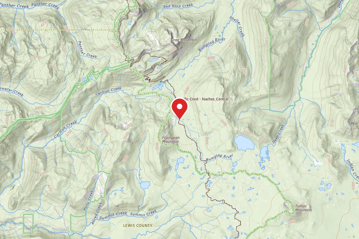 Dispersed Site near 46.7486, -121.4188