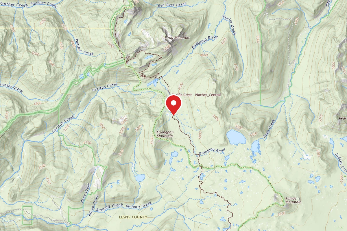 Dispersed Site near 46.7482, -121.4188