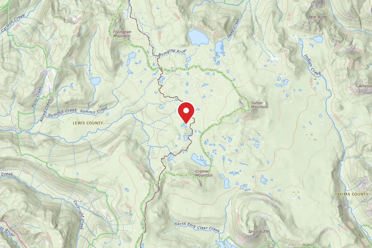 Dispersed Site near 46.7065, -121.3884
