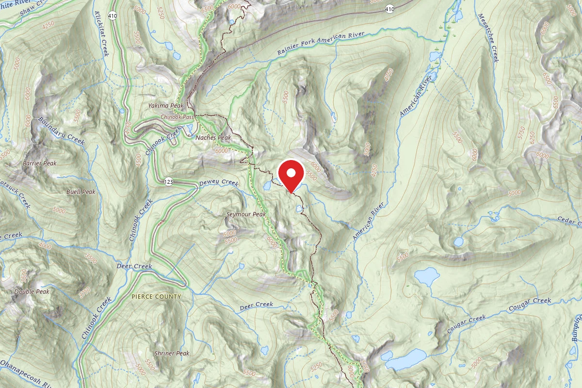 Dispersed Site near 46.8530, -121.4817