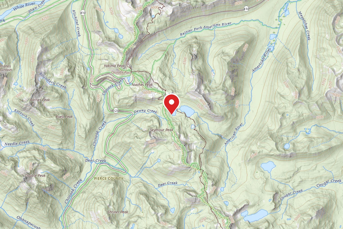Dispersed Site near 46.8544, -121.4916