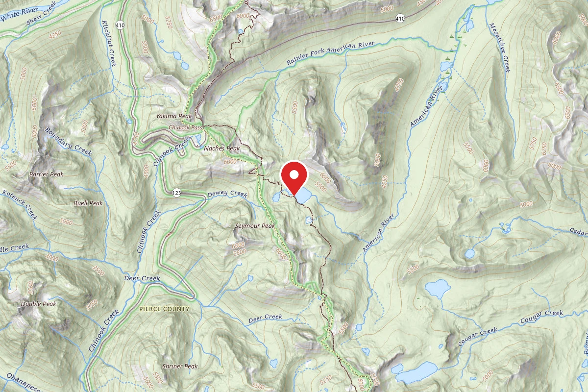 Dispersed Site near 46.8553, -121.4839
