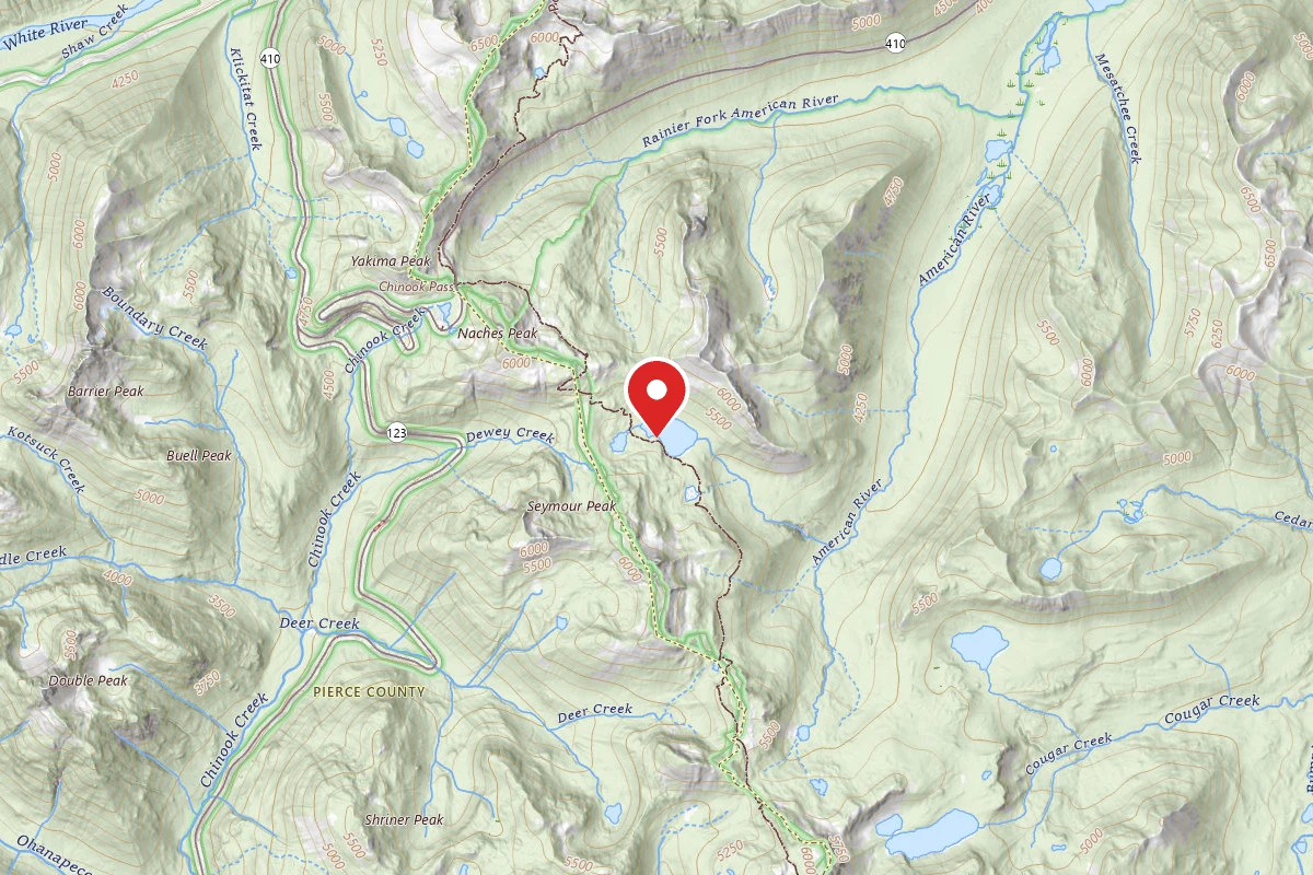 Dispersed Site near 46.8555, -121.4843