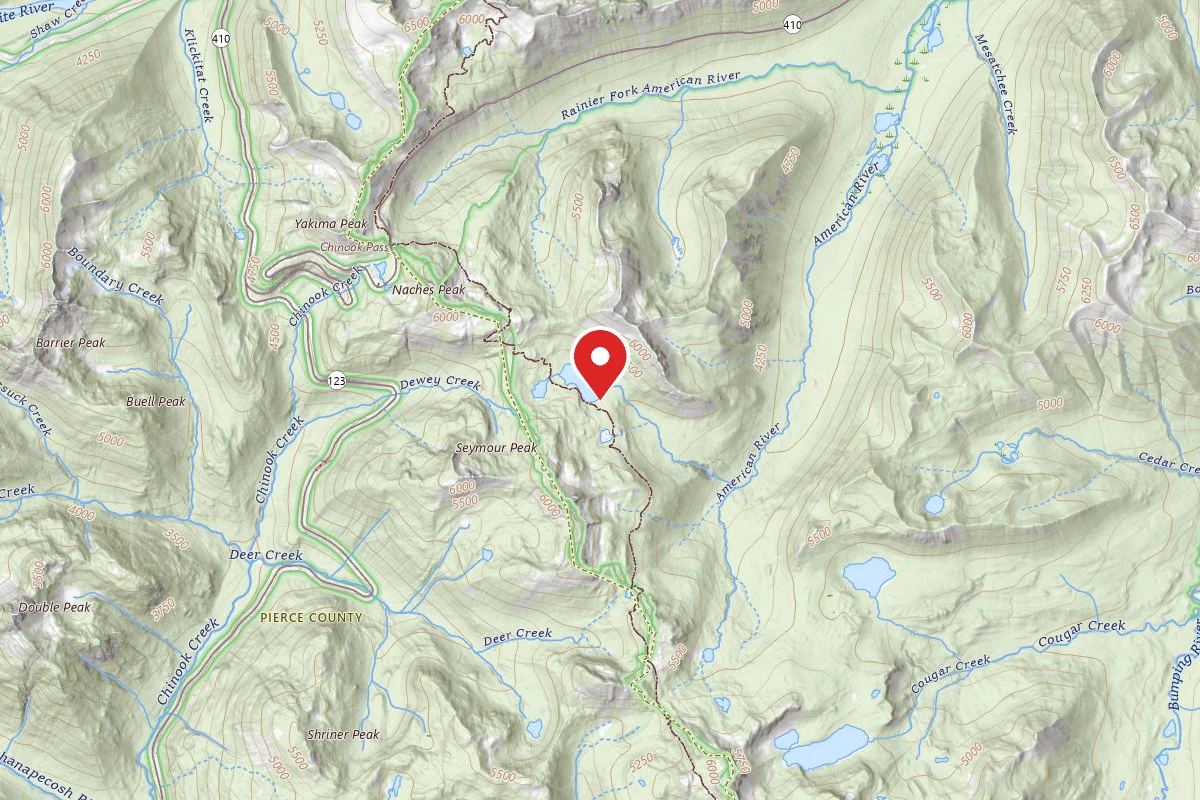 Dispersed Site near 46.8537, -121.4797