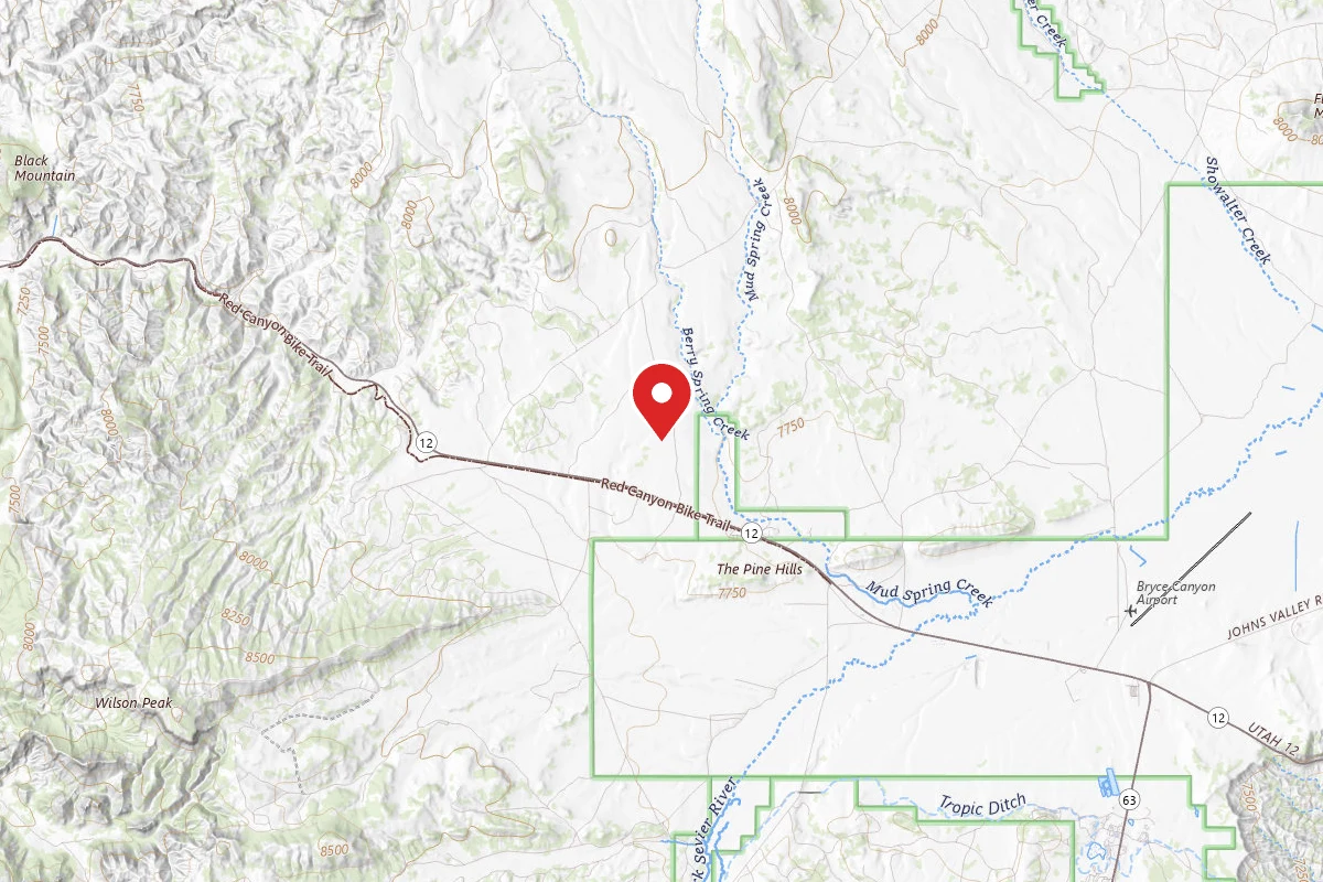 Forest Rd 294 Dispersed - Dixie National Forest