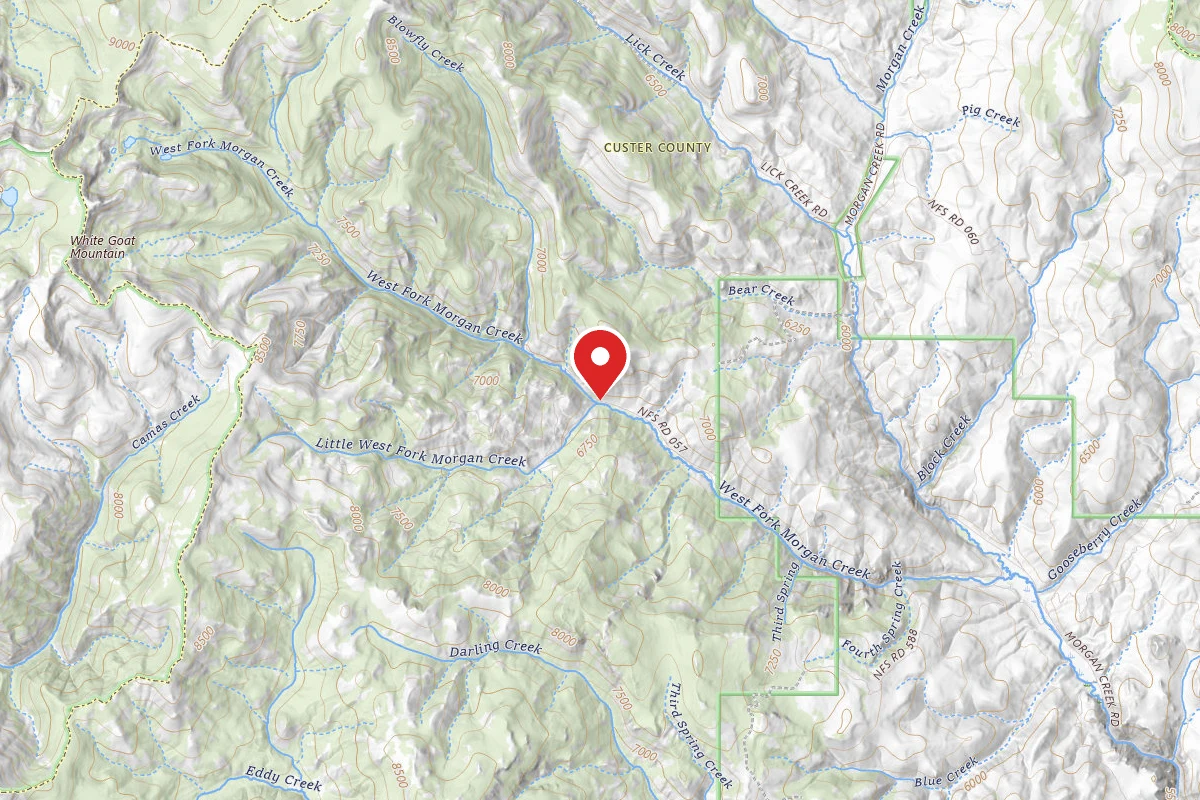 Challis National Forest West Fork Morgan Creek Campground