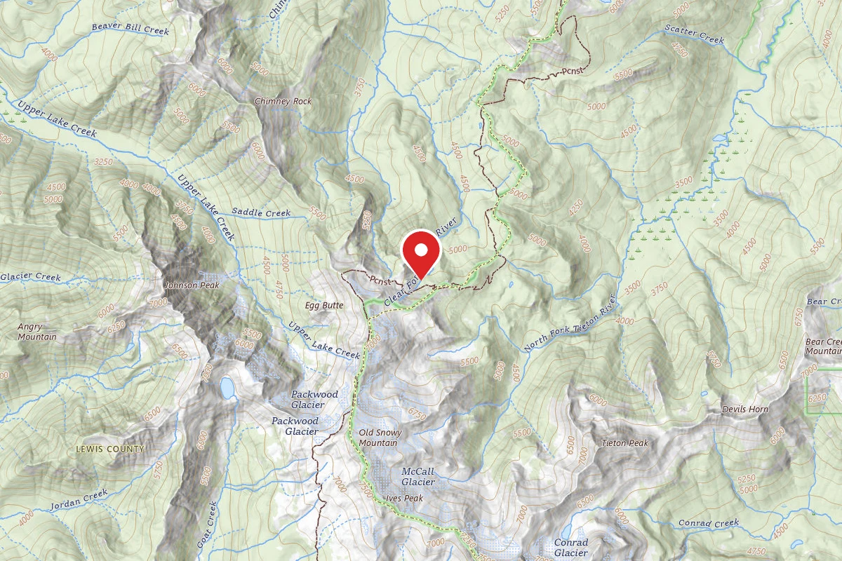 Dispersed Site near 46.5404, -121.4385