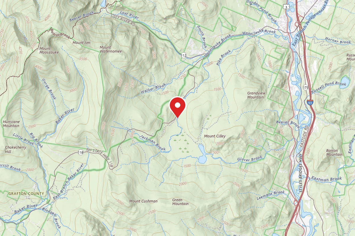 Elbow Pond Road Dispersed Site