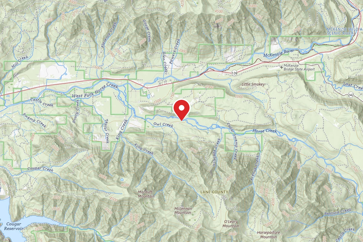 Willamette NF - McKenzie River Dispersed