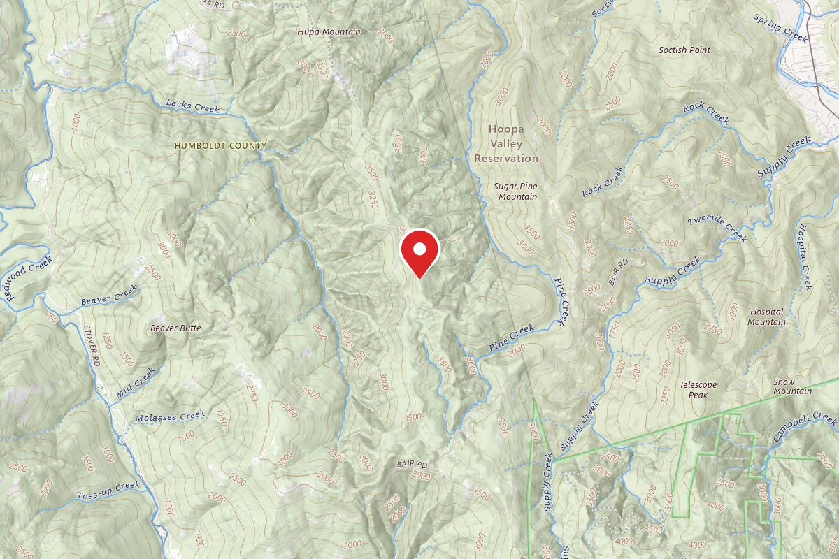 Dispersed Site near 41.0254, -123.7828