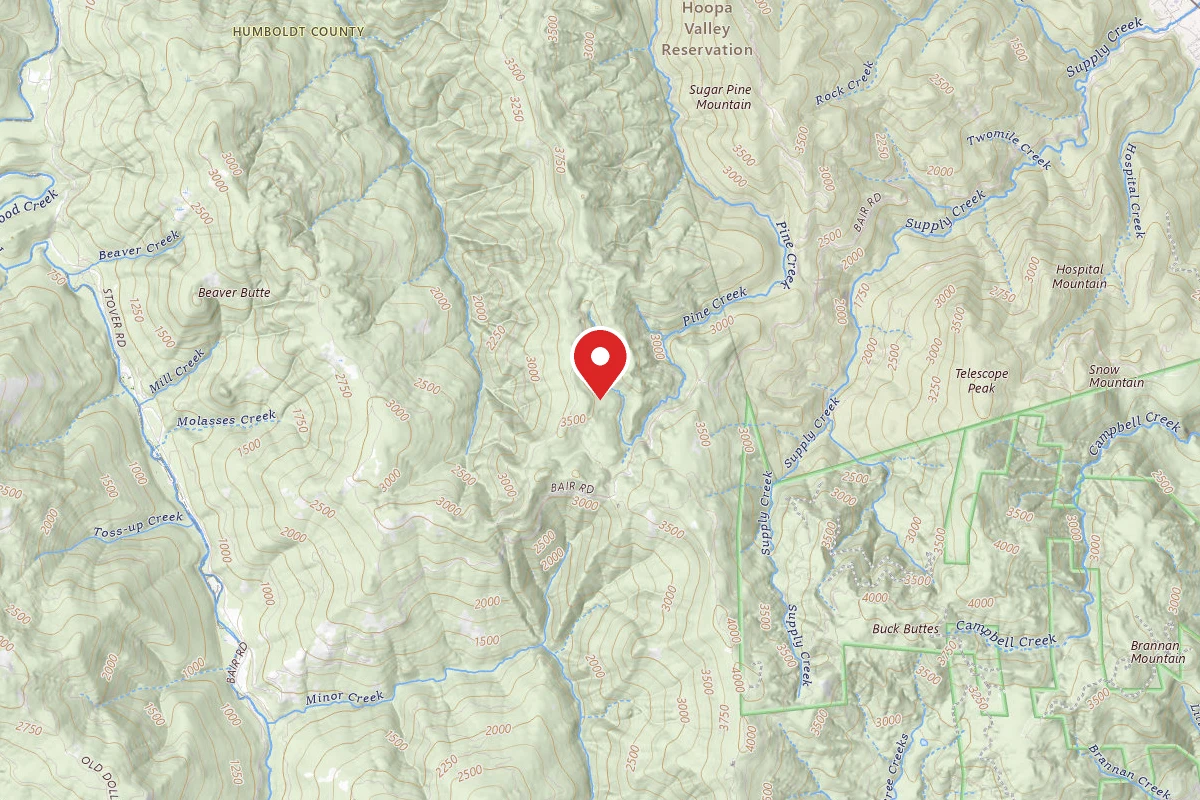 Dispersed Site near 41.0025, -123.7798