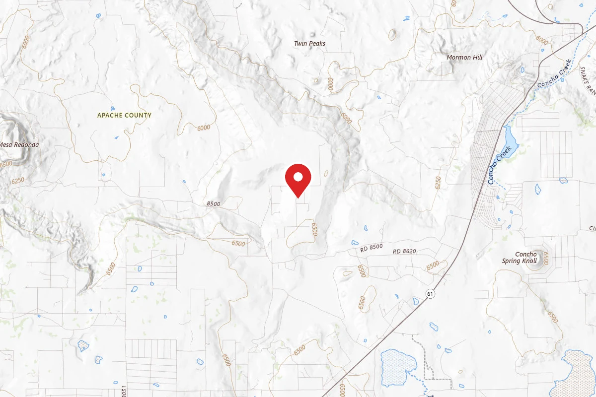 Desert Falcon Ranch, LLC