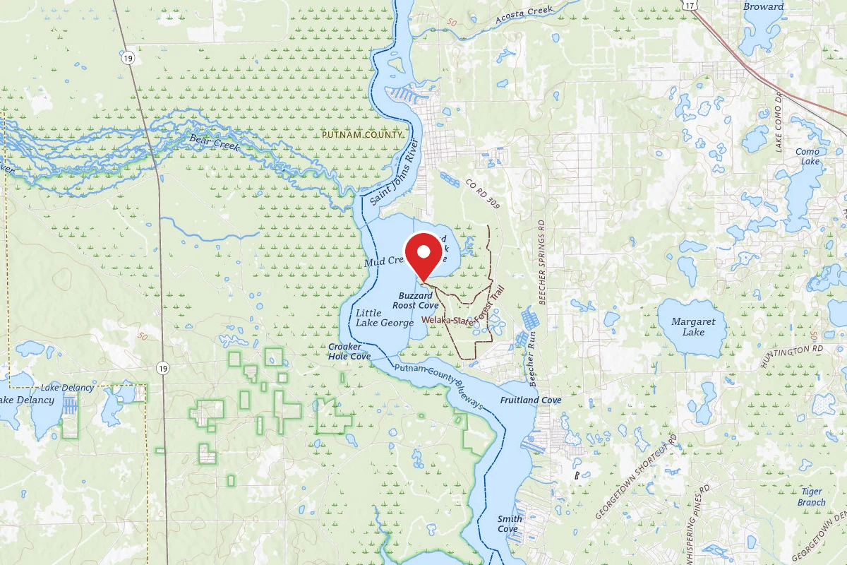 Welaka State Forest
