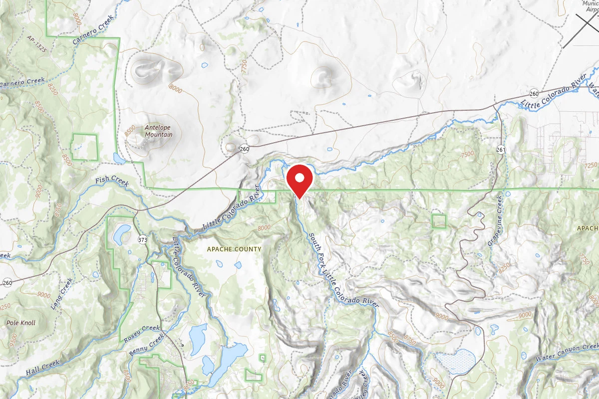 Apache National Forest South Fork Campground