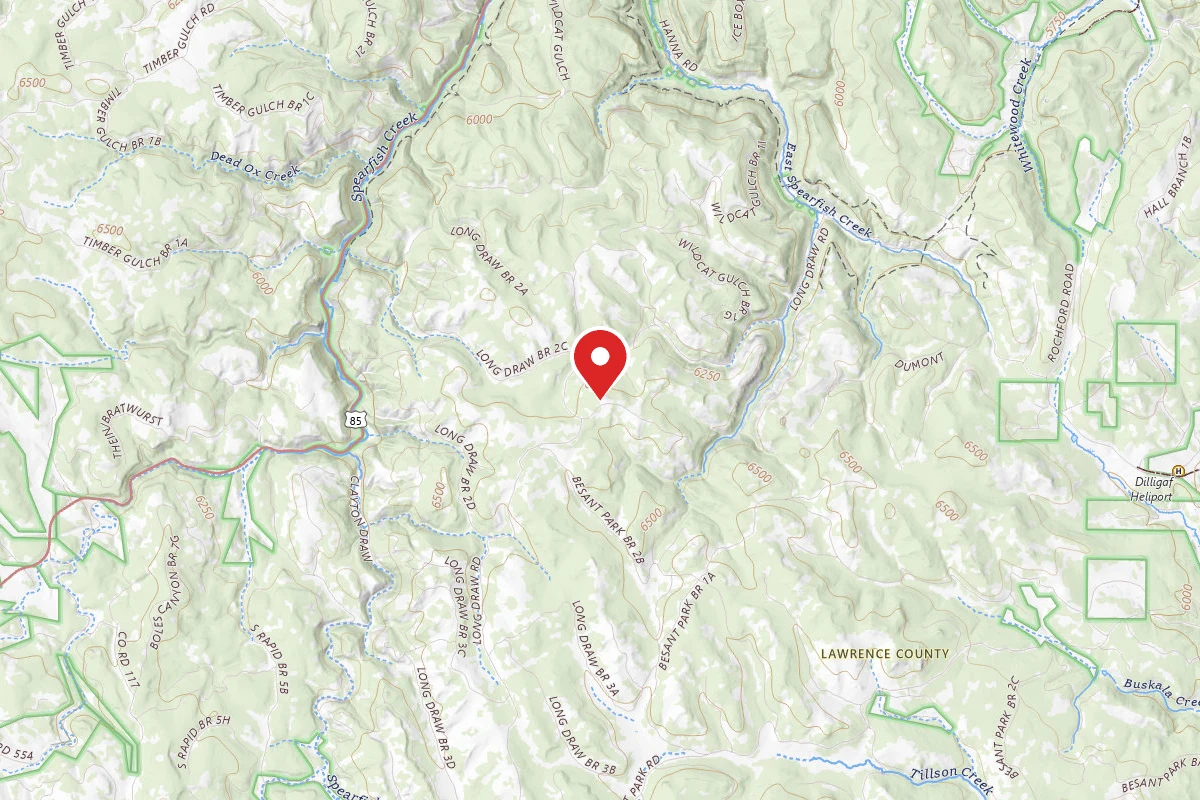 Dispersed Site near 44.2364, -103.8787