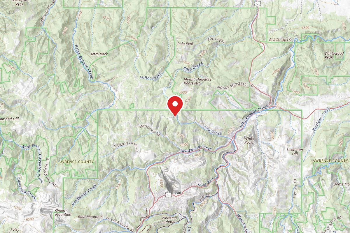 Dispersed Site near 44.3851, -103.7640
