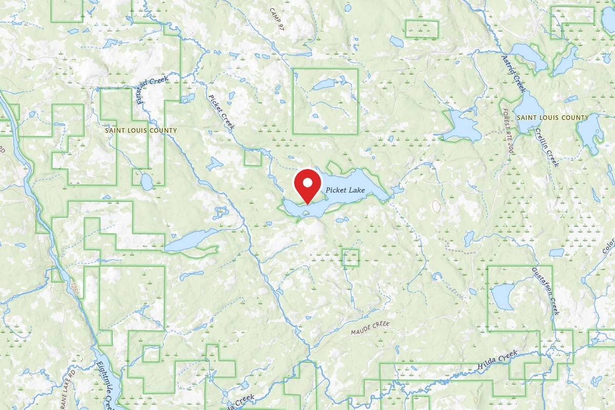 Picket Lake Site 1