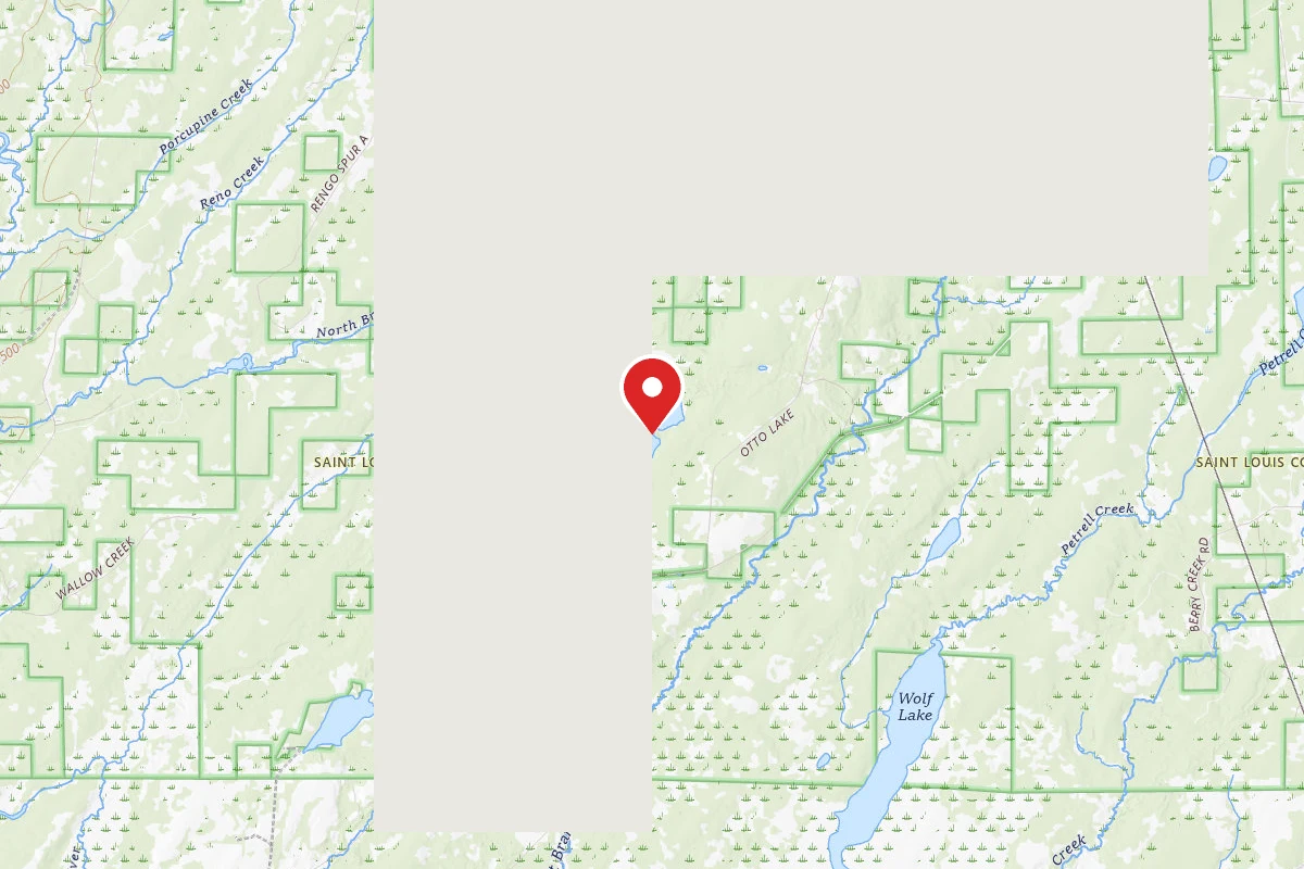 Otto Lake Site 1
