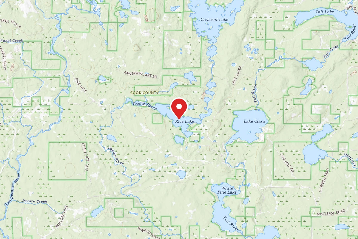 Rice Lake Site 2