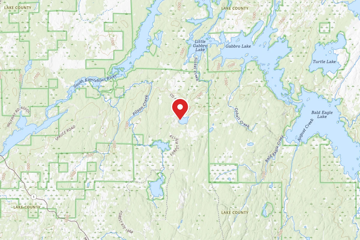 Nickel Lake Site 1