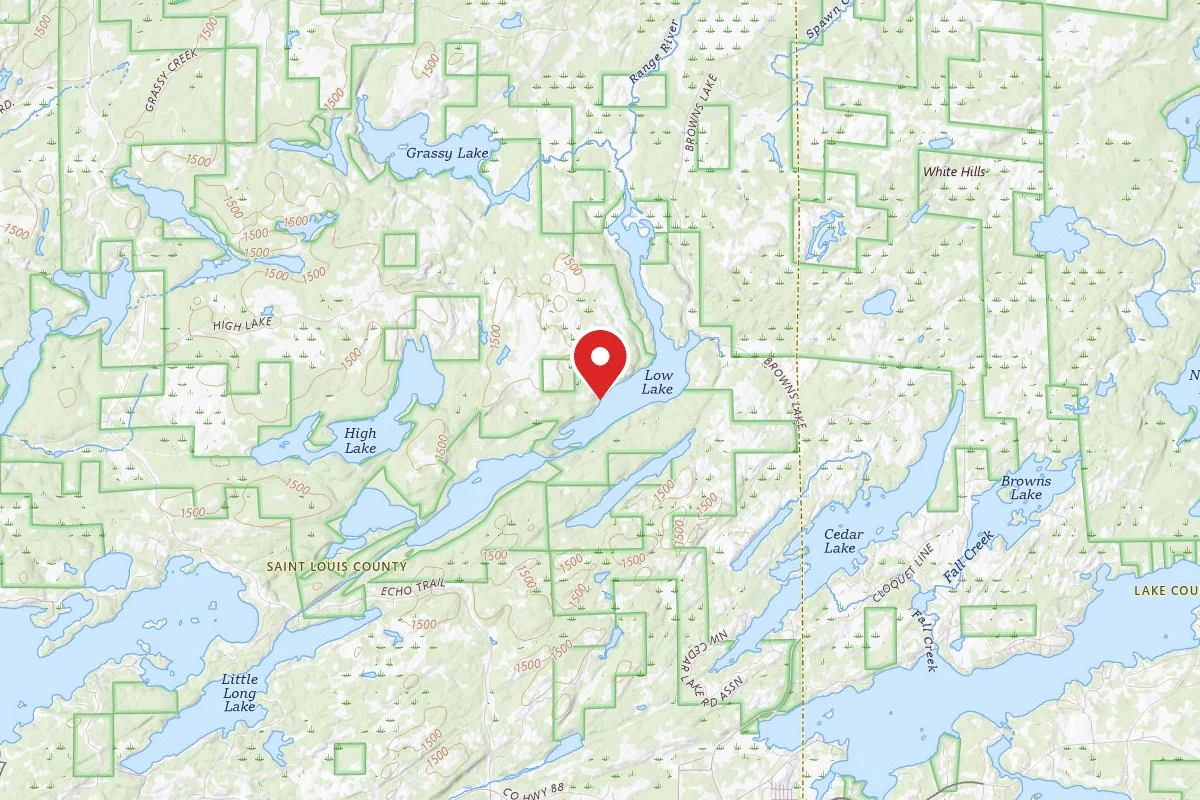 Low Lake Site 1