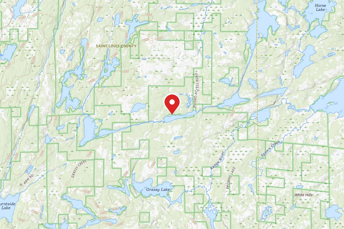 Pickett Lake Site 1
