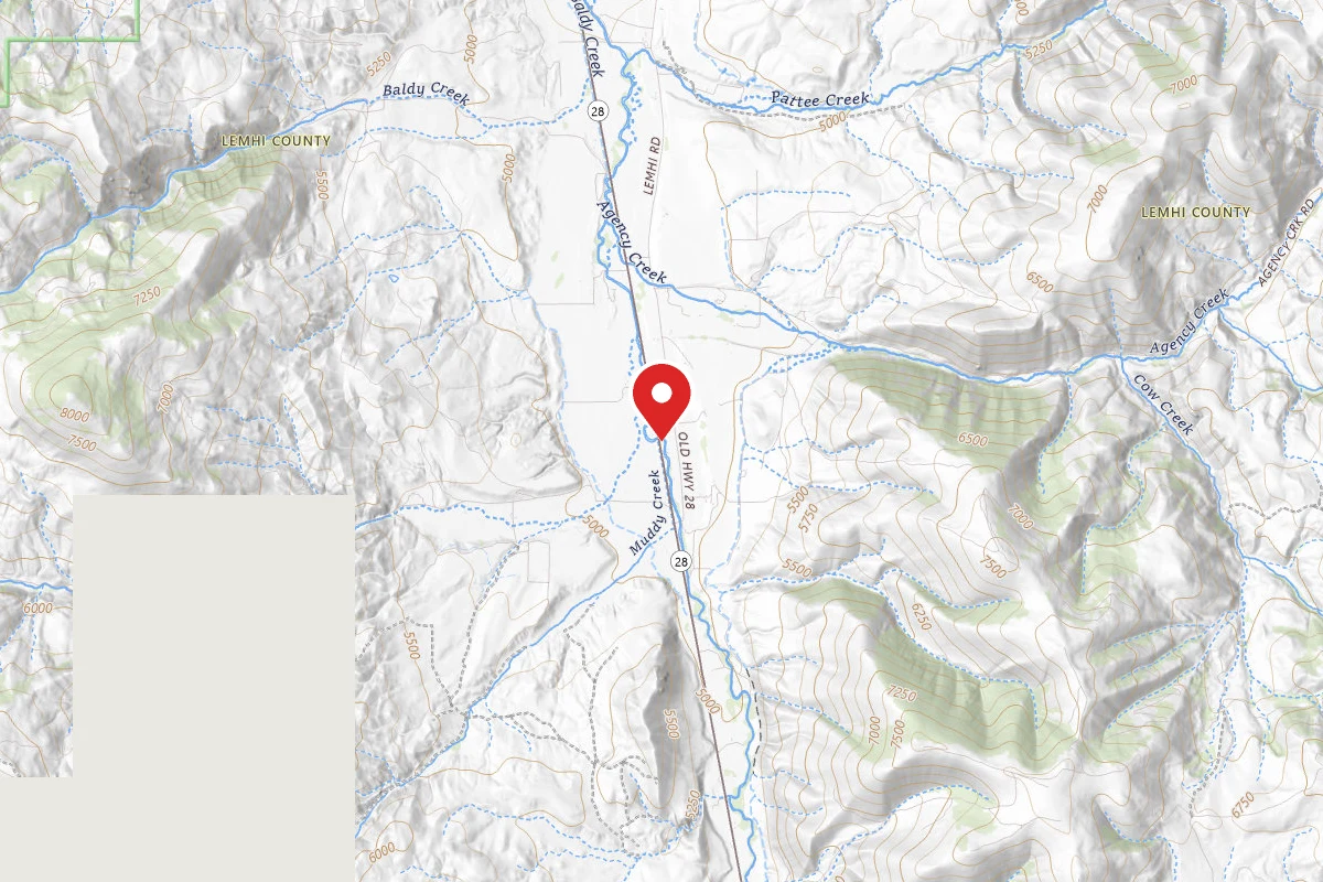 Lemhi River South